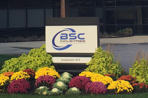 bsc logo
