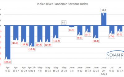 G-Pandemic-Revenue-Index-July-20-24-2020